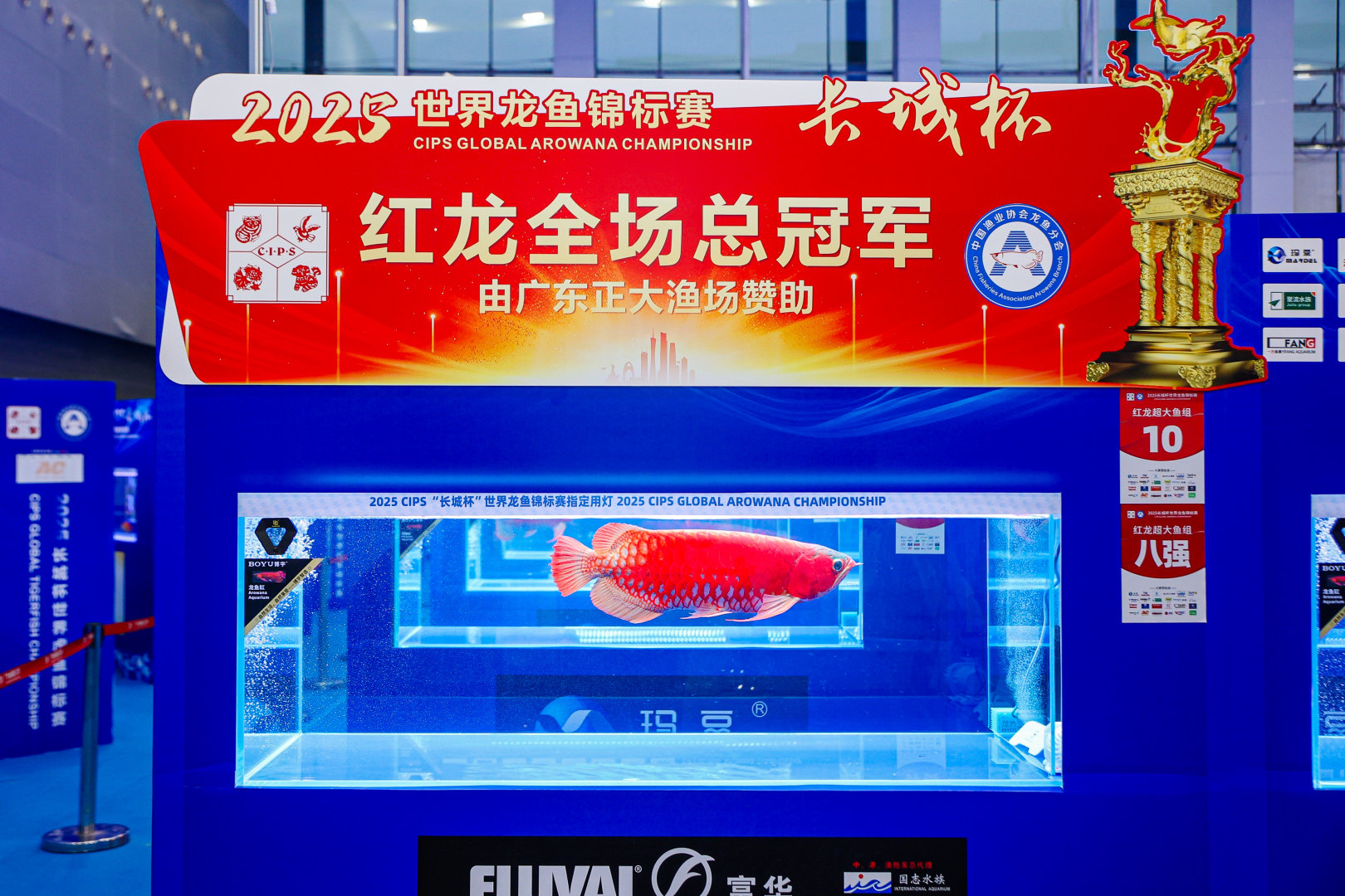 2025 長(zhǎng)城杯世界龍虎魟魚錦標(biāo)賽